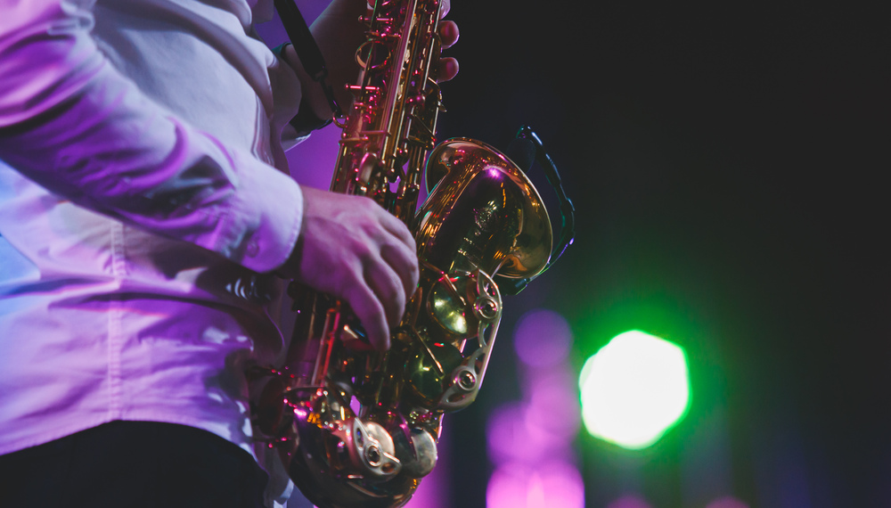 Jazz duo performing live