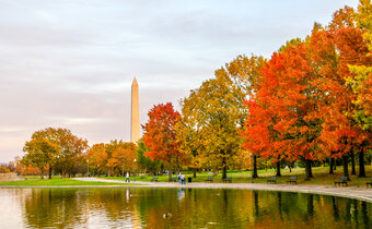 View of Washington monument with Fall trees