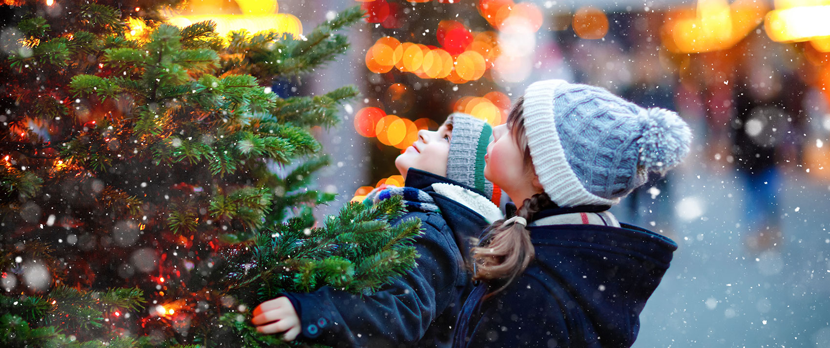 children look at christmas tree lights